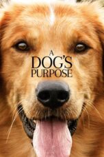 Nonton film A Dog’s Purpose (2017) subtitle indonesia