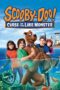 Nonton film Scooby-Doo! Curse of the Lake Monster (2010) subtitle indonesia