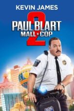 Nonton film Paul Blart: Mall Cop 2 (2015) subtitle indonesia