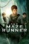 Nonton film The Maze Runner (2014) subtitle indonesia