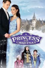 Nonton film A Princess for Christmas (2011) subtitle indonesia