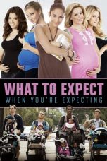 Nonton film What to Expect When You’re Expecting (2012) subtitle indonesia
