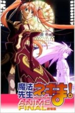 Nonton film Magister Negi Magi: Anime Final (2011) subtitle indonesia