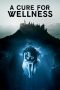 Nonton film A Cure for Wellness (2017) subtitle indonesia