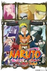 Nonton film Naruto: The Cross Roads (2009) subtitle indonesia