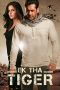 Nonton film Ek Tha Tiger (2012) subtitle indonesia
