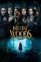 Nonton film Into the Woods (2014) subtitle indonesia