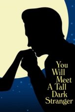 Nonton film You Will Meet a Tall Dark Stranger (2010) subtitle indonesia