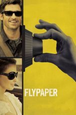 Nonton film Flypaper (2011) subtitle indonesia