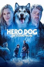 Nonton film Hero Dog: The Journey Home (2021) subtitle indonesia