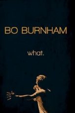 Nonton film Bo Burnham: What. (2013) subtitle indonesia