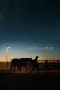 Nonton film Lean on Pete (2018) subtitle indonesia