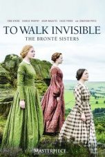 Nonton film To Walk Invisible (2016) subtitle indonesia