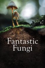 Nonton film Fantastic Fungi (2019) subtitle indonesia