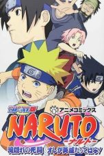 Nonton film Naruto: The Lost Story – Mission: Protect the Waterfall Village! (2003) subtitle indonesia