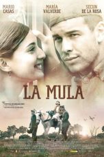 Nonton film The Mule (2013) subtitle indonesia