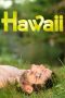 Nonton film Hawaii (2013) subtitle indonesia