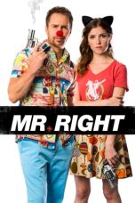 Nonton film Mr. Right (2016) subtitle indonesia