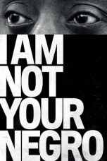 Nonton film I Am Not Your Negro (2017) subtitle indonesia