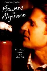 Nonton film Flowers for Algernon (2000) subtitle indonesia