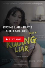 Nonton film Kucing Liar Part 3 (2023) subtitle indonesia