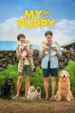 Nonton film My Heart Puppy (2023) subtitle indonesia